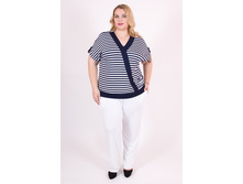 ������ V38.2