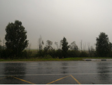 P 20170805 080937.jpg