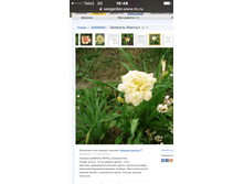 ������� �����