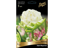 ������� ���� �������.jpg