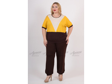 ������ V113.15