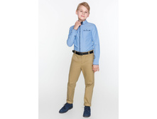 20110160105   Copper   �������.jpg