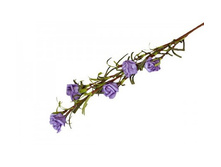 ����� ������������� "�������� ����" ������: 7116-���