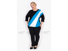 ������ V372.8