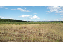 IMG 20170805 153452.jpg