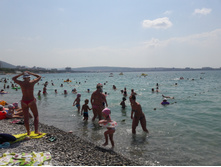 20170812 111604.jpg