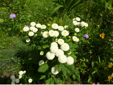 ����������� 083.jpg ����������