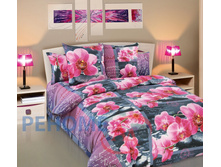 6120� ��� ��� ���� ����� �������-1 ���������.jpg