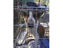 IMG 20170812 110539.jpg