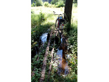 IMG 20170805 123000.jpg