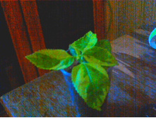 ������� ����������