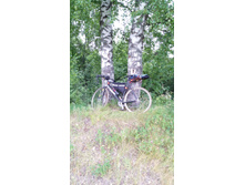 IMG 20170730 121828.jpg