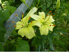 ����������� 090.jpg