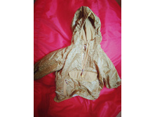 ������ �������