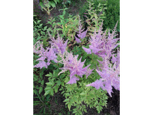 17-110��� ��������.jpg