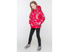 20210130111   Arani   �������.jpg