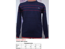 4506-1 �������� ��� ��������� CEGISA - 600 ���