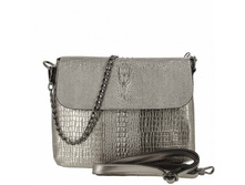 2019 silver ���� 1895 �����.����.jpg