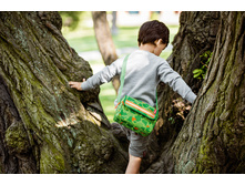 ��*��� ������� Every*day*bag green*wood