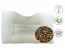 ���� ������ ������