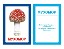 �������������� �������� "��������� "�"" �������: 0829 - 99 ���.