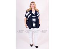 ������ V006.21