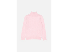 20210320018   Sparrow          (      ).jpg