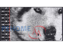 17/104 �� 2602-2483 ��������� 50*90 ����� ��������