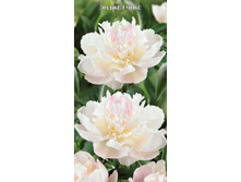 ���� ������ ����.jpg