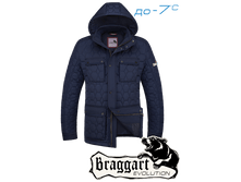 ������ Braggart Status - ������� 2576F ����� 3900�..png