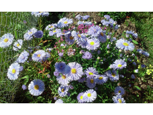 10-100 ���. �����.jpg