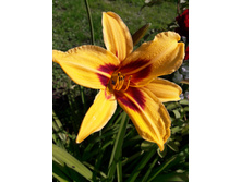 25-130��� ��������.jpg