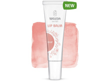 Weleda ������� ����������� ��� ��� Rose 10 �� - 451,55 ���
