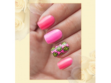 ������� 423-255