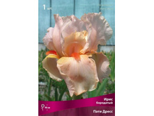 ���� ��������� ���� �����.jpg