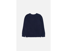 21120310002   Kestrel        -     (      ).jpg