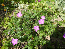 ����������� 056.jpg