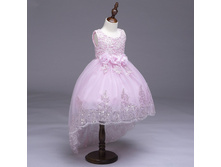 ������ Dream Queen Rose 700� 120(920