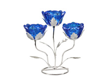 267 ���. - ����������