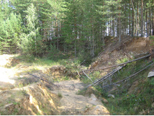 IMG 3736.JPG