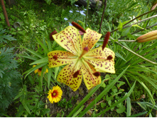 ����������� 091.jpg