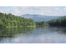 ������ ���������� ������