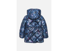 20210610023   Pictor        -     (    ).jpg