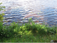 IMG 3769.JPG