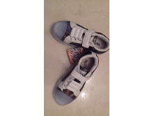 ���� ����� 31�