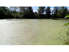 IMG 20170805 141229.jpg