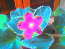 ��-��������