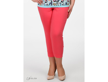 ����� 2602256-48.jpg