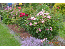 ������- ��������