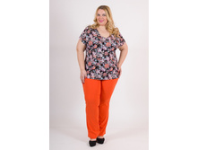 ������ V001.3